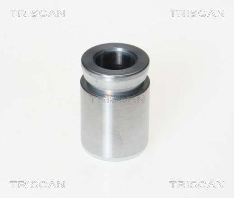 TRISCAN 8170 233304 Kolben für Bmw