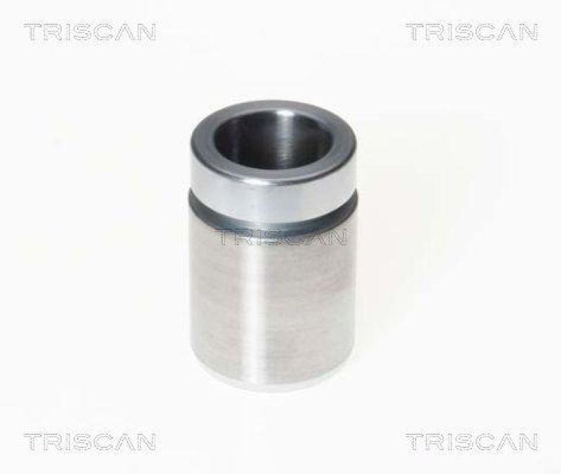 TRISCAN 8170 233308 Kolben für Peugeot