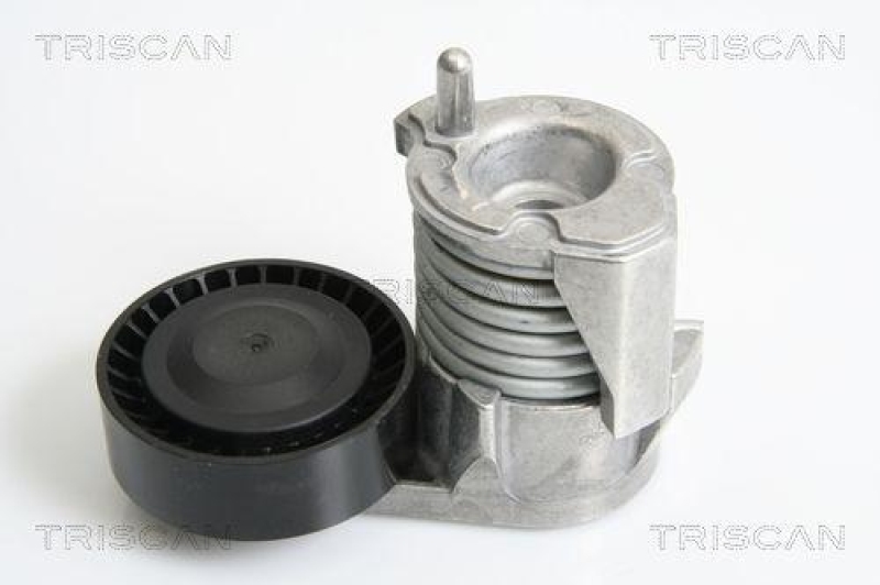 TRISCAN 8641 103029 Riemenspanneinheit für Ford, Volvo