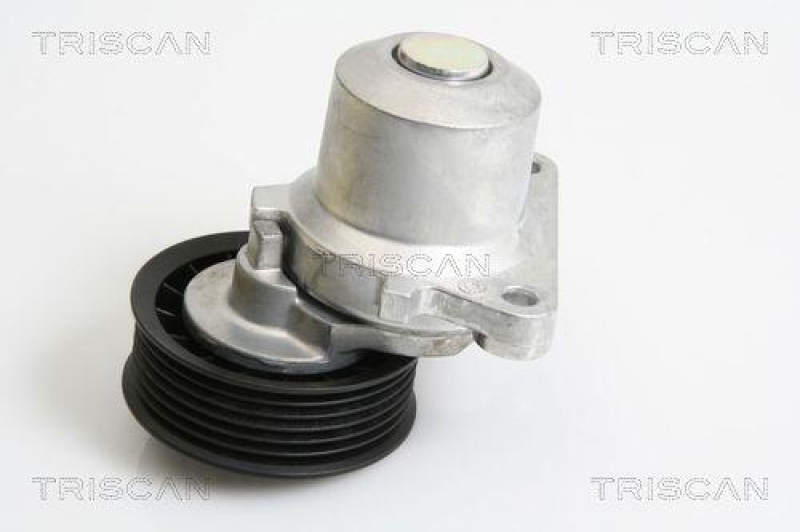 TRISCAN 8641 103033 Riemenspanneinheit für Ford, Mazda