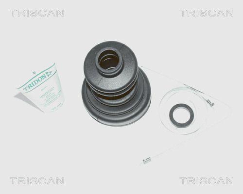 TRISCAN 8540 10801 Manchettensatz für Citroen, Fiat, Peugeot