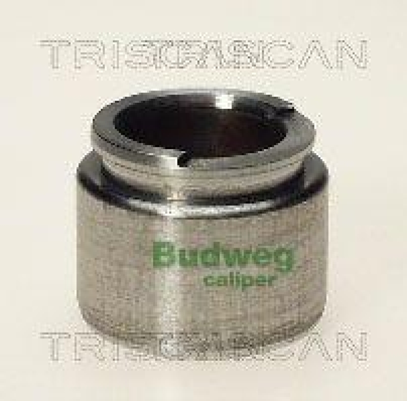 TRISCAN 8170 233504 Kolben für Opel