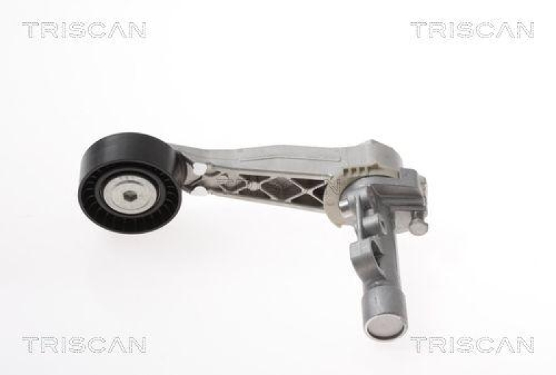 TRISCAN 8641 103047 Spannrolle für Citroen, Mini, Peugeot