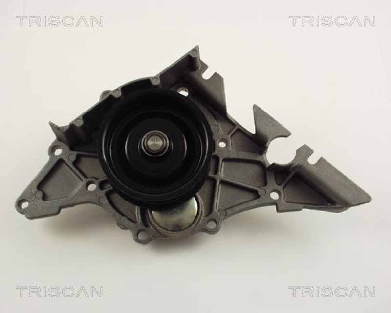 TRISCAN 8600 29029 Wasserpumpe für Audi