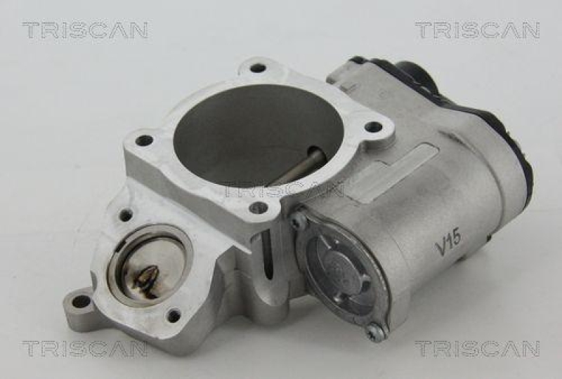 TRISCAN 8813 29028 Agr Ventil für Vag