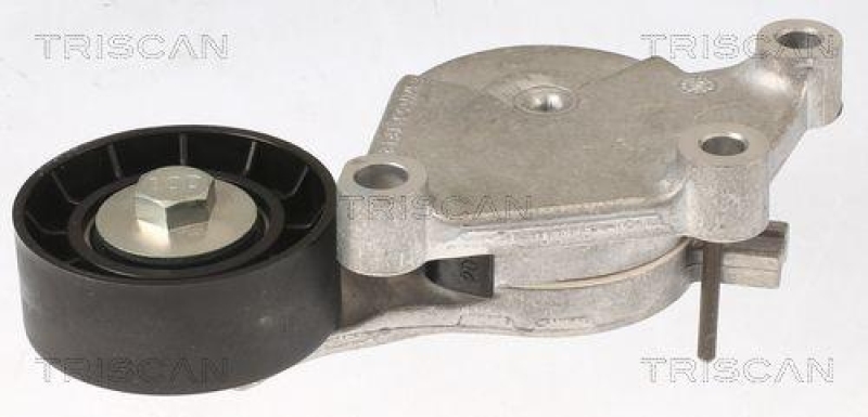 TRISCAN 8641 103053 Spannrolle für Psa, Mini, Bmw