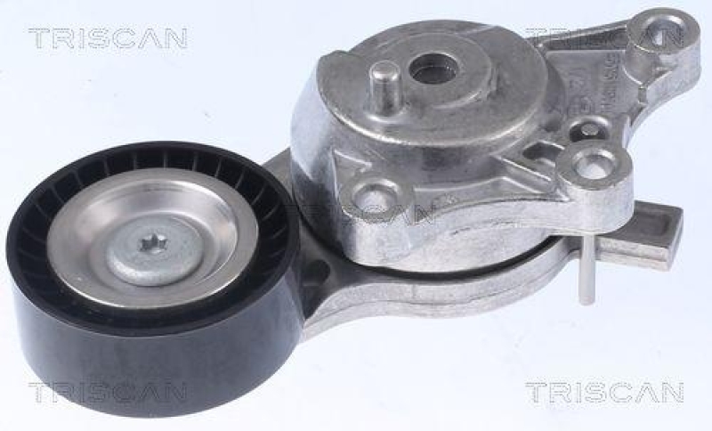 TRISCAN 8641 103054 Spannrolle für Psa