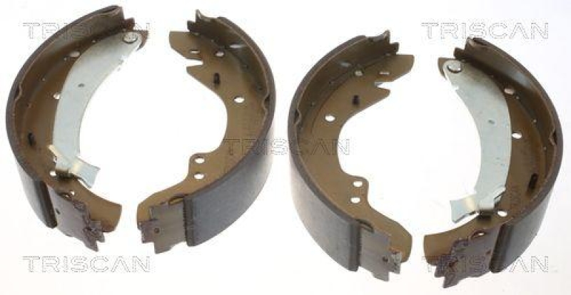 TRISCAN 8100 10573 Bremsbacken für Citroen, Fiat, Peugeot