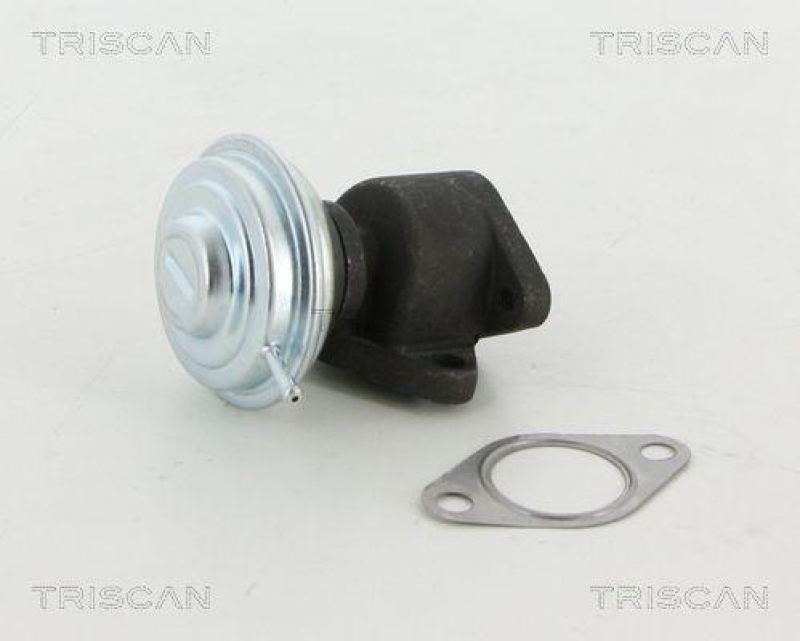 TRISCAN 8813 29067 Agr Ventil für Audi A6