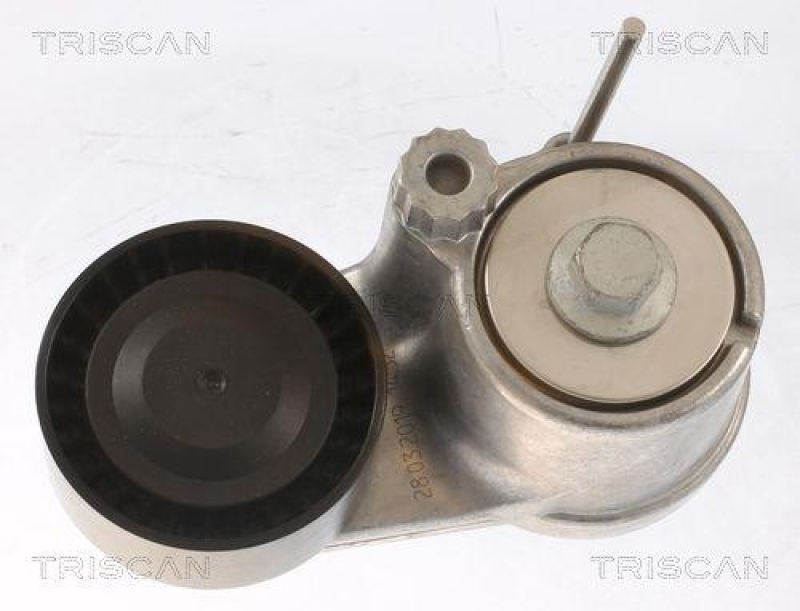 TRISCAN 8641 103058 Spannrolle für Bmw