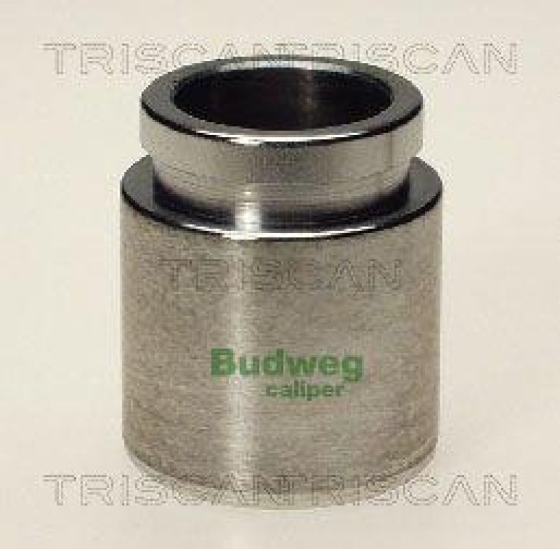 TRISCAN 8170 233819 Kolben für Isuzu, Toyota