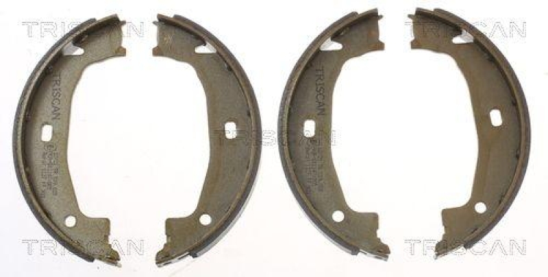 TRISCAN 8100 11011 Bremsbacken, Feststellbremse für Bmw Type E46