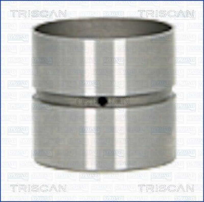 TRISCAN 80-25007 Ventilst&ouml;ssel f&uuml;r Peugeot