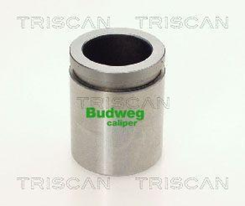 TRISCAN 8170 233843 Kolben für Hyundai