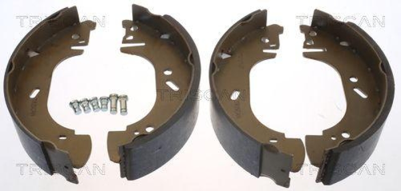 TRISCAN 8100 10002 Bremsbacken für Opel, Renault