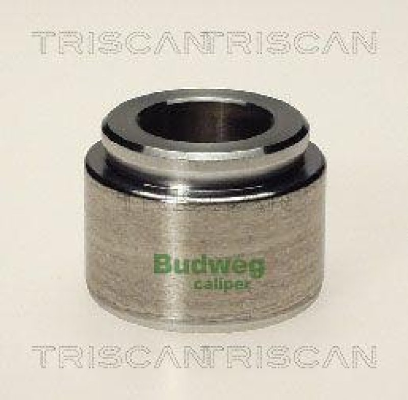 TRISCAN 8170 234003 Kolben für Bmw