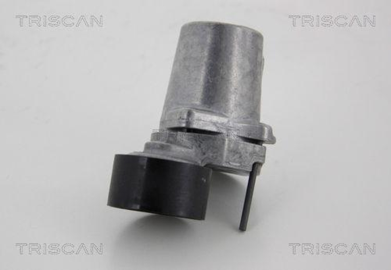 TRISCAN 8641 111022 Spannrolle für Bmw