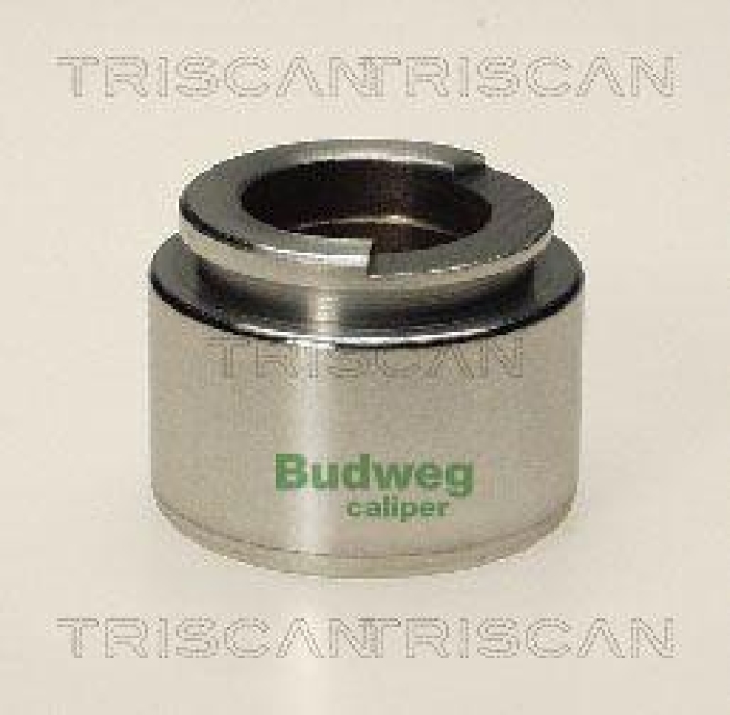 TRISCAN 8170 234007 Kolben für Opel