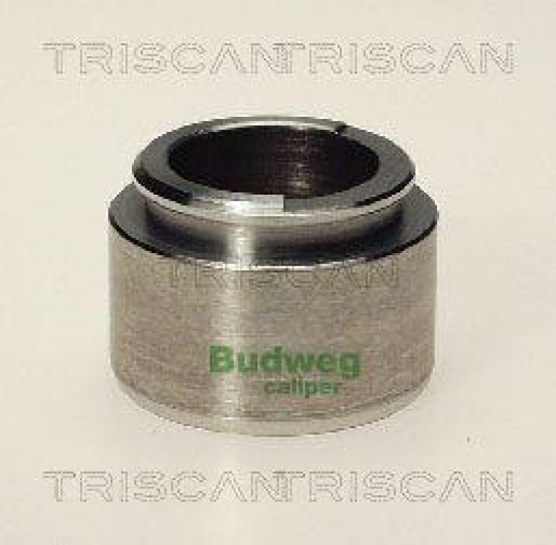 TRISCAN 8170 234018 Kolben für Mb/Opel