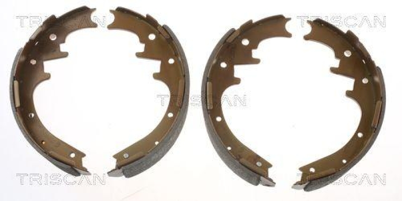 TRISCAN 8100 10010 Bremsbacken, Feststellbremse für Citroen, Fiat, Peugeot