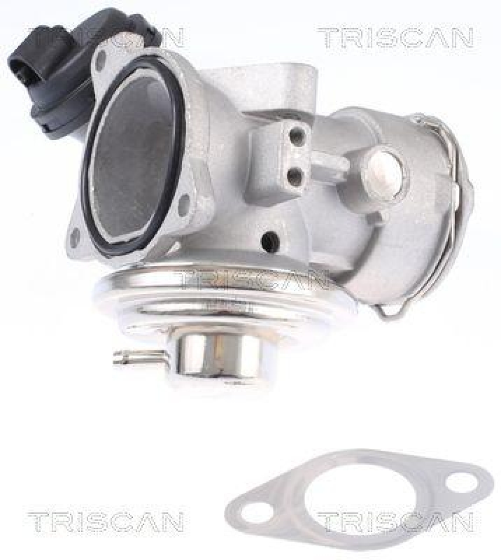 TRISCAN 8813 29308 Agr Ventil für Vw Beetle