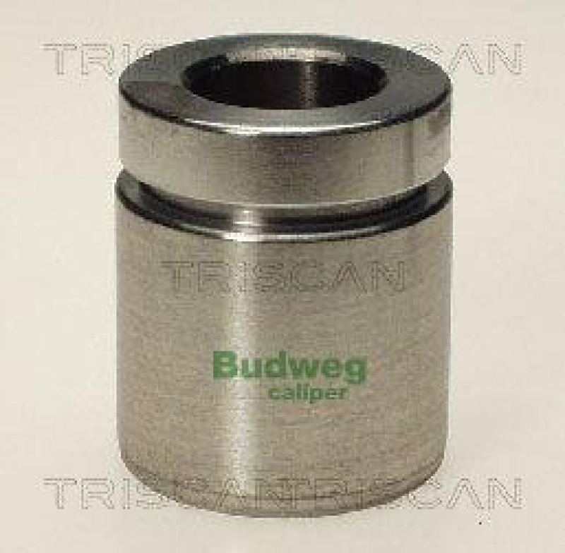 TRISCAN 8170 234020 Kolben für Bmw