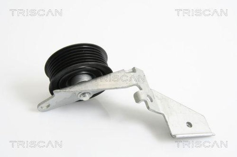 TRISCAN 8641 112015 Umlenkrolle für Bmw