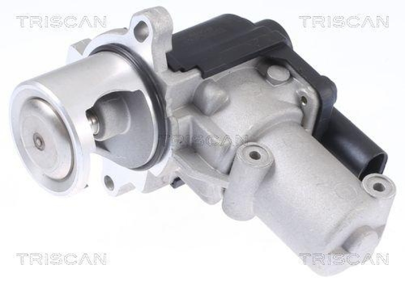 TRISCAN 8813 29310 Agr Ventil für Vw Transporter