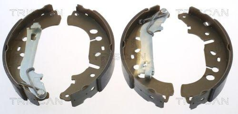 TRISCAN 8100 10012 Bremsbacken für Fiat, Opel