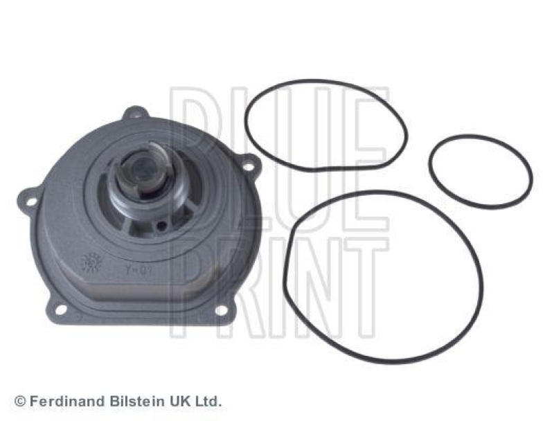 BLUE PRINT ADJ139120 Wasserpumpe mit Dichtringen für ROVER