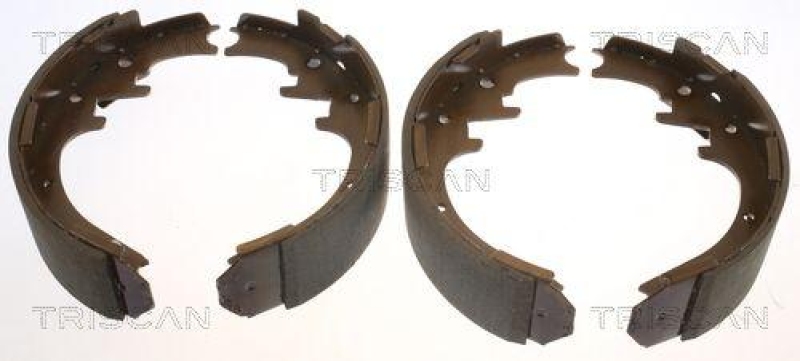 TRISCAN 8100 10016 Bremsbacken für Ford, Mazda