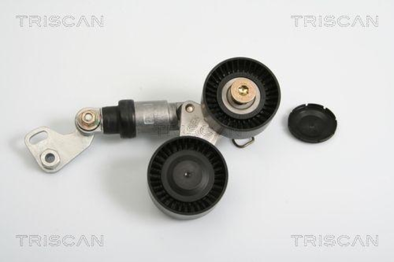 TRISCAN 8641 113020 Riemenspanneinheit für Bmw X5