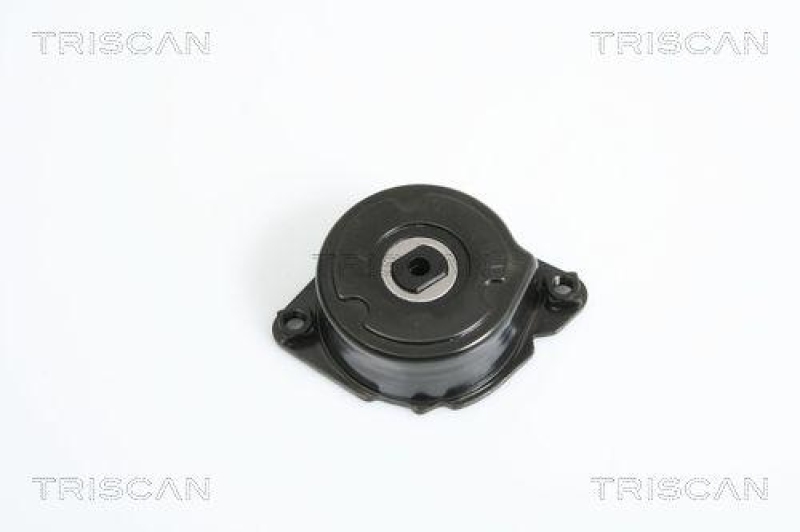 TRISCAN 8641 113023 Riemenspanneinheit für Bmw