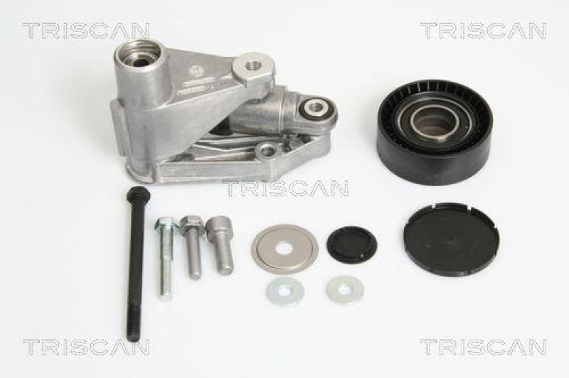 TRISCAN 8641 113025 Riemenspanneinheit für Bmw