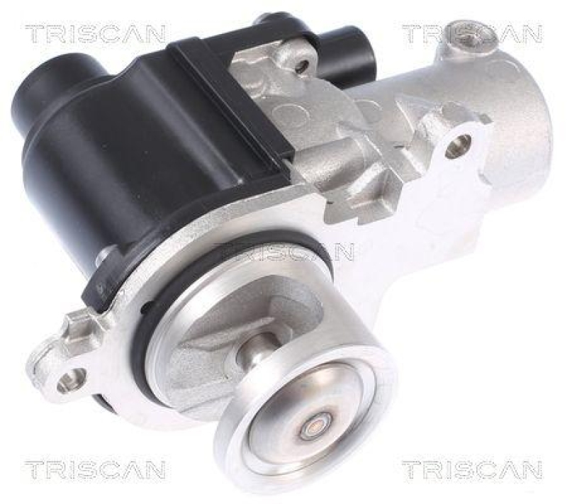 TRISCAN 8813 29338 Agr Ventil für Audi, Vw