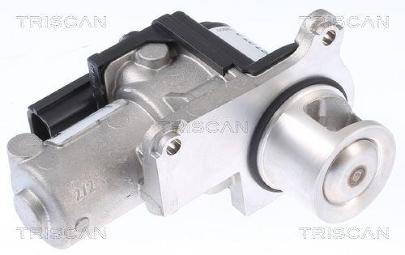 TRISCAN 8813 29339 Agr Ventil für Vw