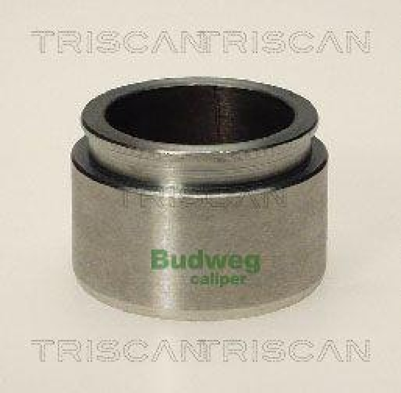 TRISCAN 8170 234321 Kolben für Toyota, Vw