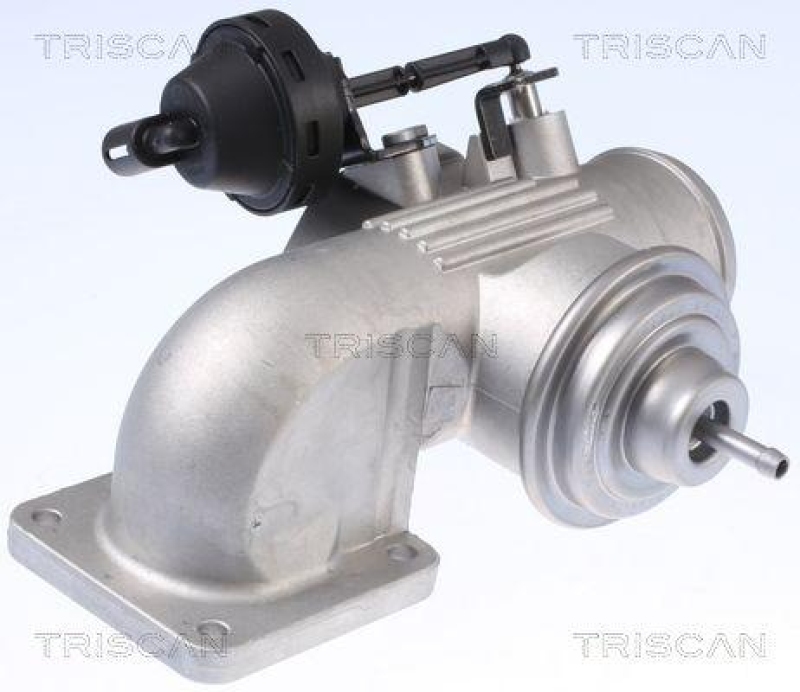 TRISCAN 8813 29342 Agr Ventil für Vw