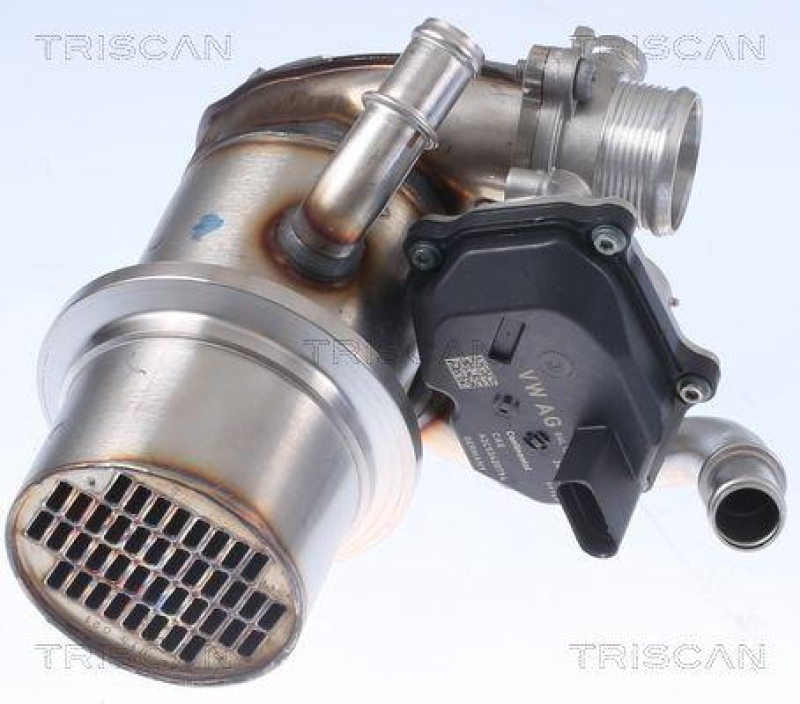 TRISCAN 8813 29345 Agr Ventil für Audi