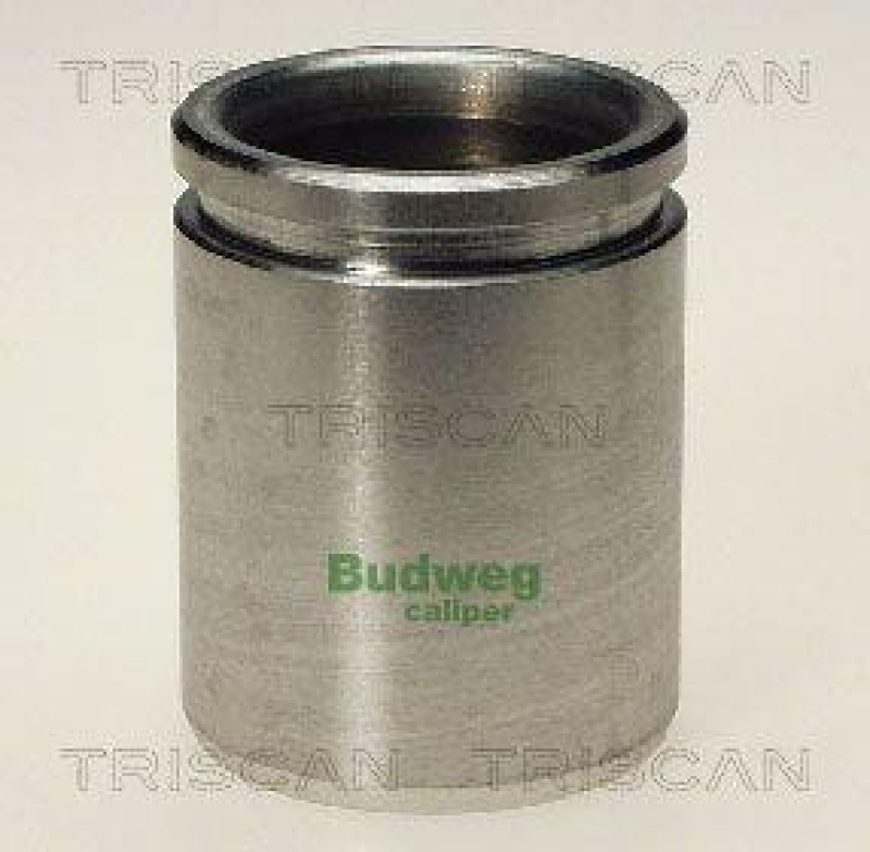 TRISCAN 8170 234330 Kolben für Audi