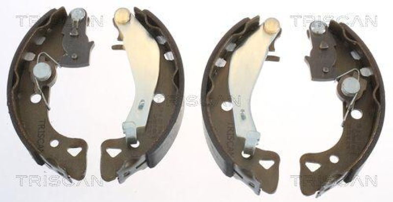 TRISCAN 8100 10488 Bremsbacken für Citroen Ax