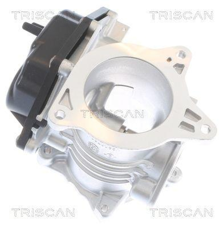 TRISCAN 8813 29348 Agr Ventil für Vw