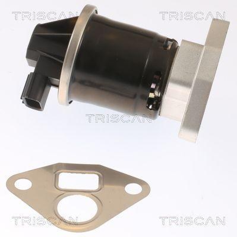 TRISCAN 8813 40003 Agr Ventil für Honda