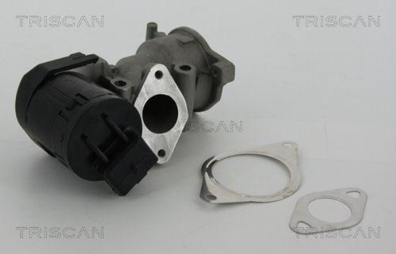 TRISCAN 8813 10001 Agr Ventil für Ford/Volvo/Mazda