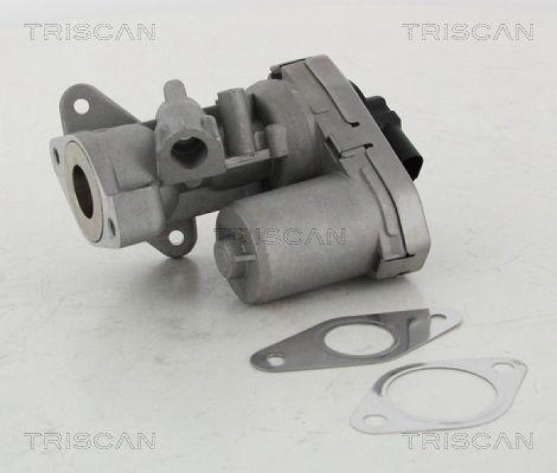 TRISCAN 8813 10002 Agr Ventil f&uuml;r Psa/Fiat/Gm