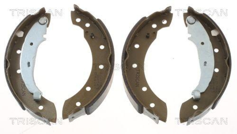 TRISCAN 8100 10572 Bremsbacken für Citroen, Peugeot, Renault