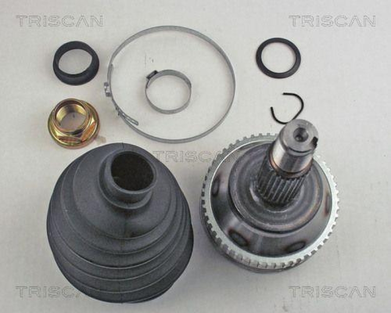 TRISCAN 8540 10109 Gleichlaufgelenk für Renault