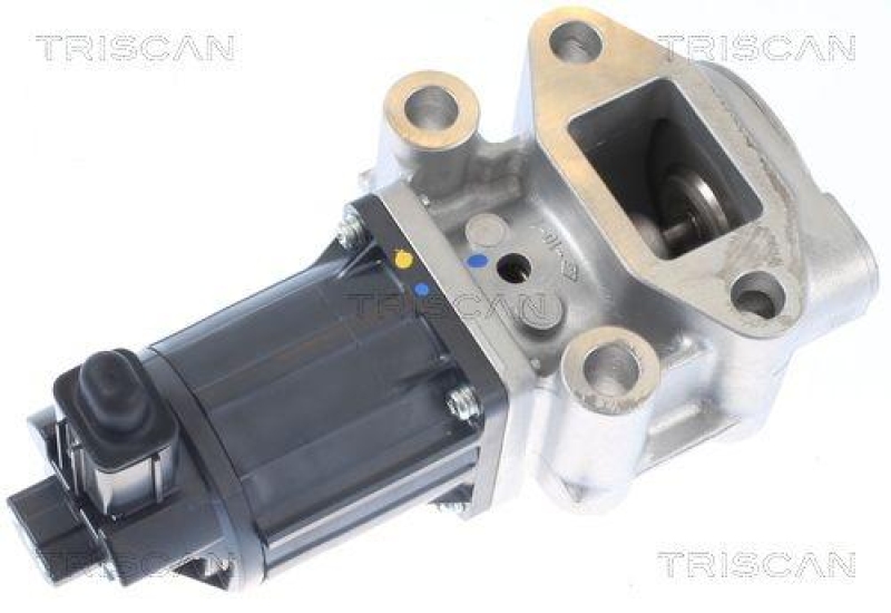 TRISCAN 8813 42001 Agr Ventil