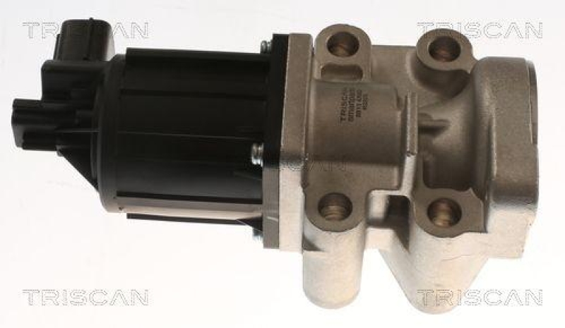 TRISCAN 8813 42002 Agr Ventil für Mitsubishi