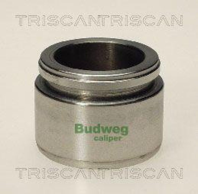 TRISCAN 8170 234413 Kolben für Bmw